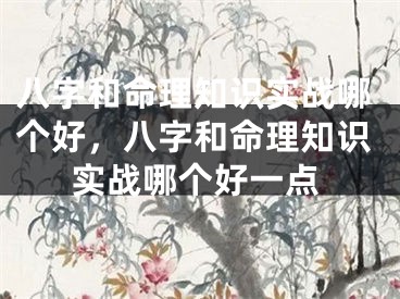 八字和命理知识实战哪个好,八字和命理知识实战哪个好一点
