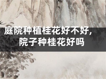 庭院种植桂花好不好,院子种桂花好吗