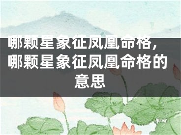 哪颗星象征凤凰命格,哪颗星象征凤凰命格的意思