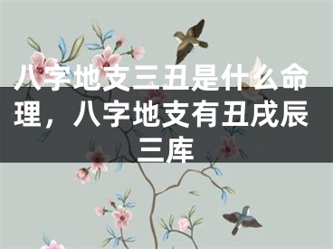 八字地支三丑是什么命理，八字地支有丑戌辰三库