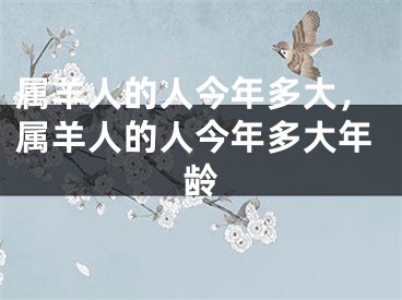 属羊人的人今年多大，属羊人的人今年多大年龄