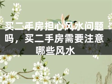 买二手房担心风水问题吗,买二手房需要注意哪些风水