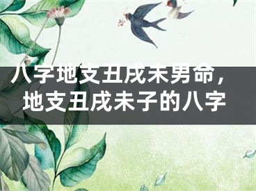 八字地支丑戌未男命，地支丑戌未子的八字