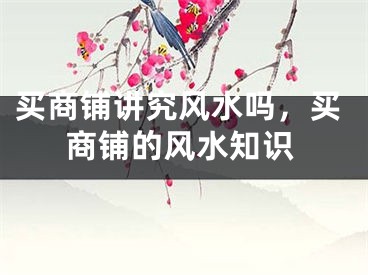 买商铺讲究风水吗,买商铺的风水知识