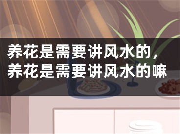养花是需要讲风水的，养花是需要讲风水的嘛