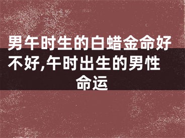 男午时生的白蜡金命好不好,午时出生的男性命运
