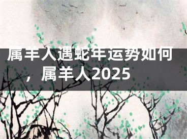 属羊人遇蛇年运势如何,属羊人2025