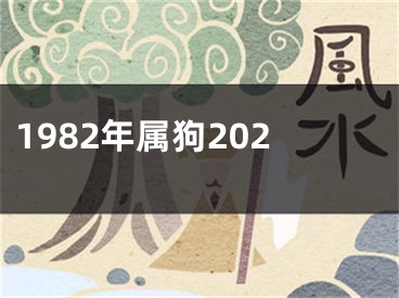 1982年属狗202