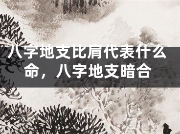 八字地支比肩代表什么命，八字地支暗合