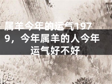 属羊今年的运气1979,今年属羊的人今年运气好不好