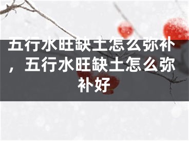 五行水旺缺土怎么弥补,五行水旺缺土怎么弥补好