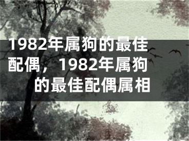 1982年属狗的最佳配偶，1982年属狗的最佳配偶属相