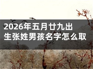 2026年五月廿九出生张姓男孩名字怎么取