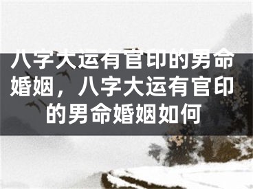 八字大运有官印的男命婚姻,八字大运有官印的男命婚姻如何