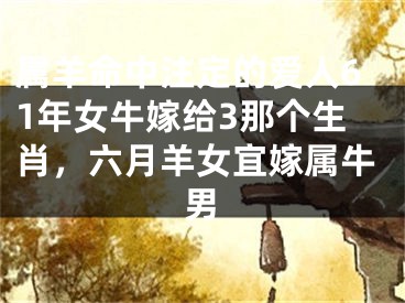 属羊命中注定的爱人61年女牛嫁给3那个生肖，六月羊女宜嫁属牛男