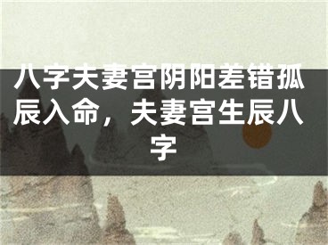 八字夫妻宫阴阳差错孤辰入命，夫妻宫生辰八字