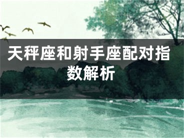 天秤座和射手座配对指数解析