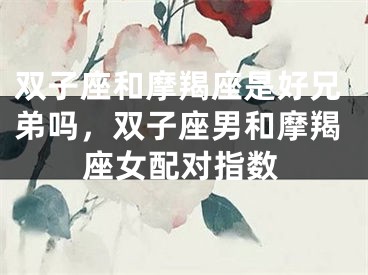 双子座和摩羯座是好兄弟吗,双子座男和摩羯座女配对指数