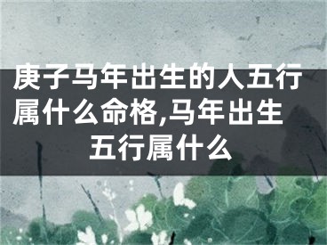 庚子马年出生的人五行属什么命格,马年出生五行属什么