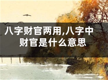 八字财官两用,八字中财官是什么意思