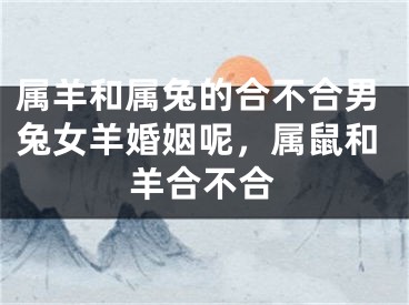 属羊和属兔的合不合男兔女羊婚姻呢,属鼠和羊合不合