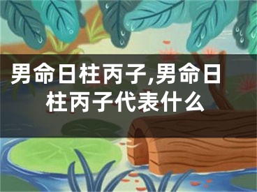 男命日柱丙子,男命日柱丙子代表什么