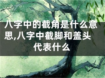 八字中的截角是什么意思,八字中截脚和盖头代表什么