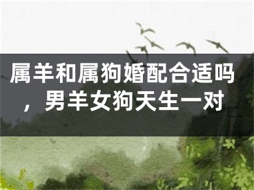 属羊和属狗婚配合适吗，男羊女狗天生一对