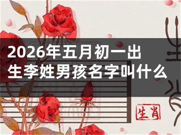 2026年五月初一出生李姓男孩名字叫什么