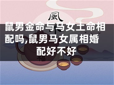鼠男金命与马女土命相配吗,鼠男马女属相婚配好不好