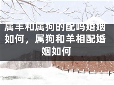 属羊和属狗的配吗婚姻如何，属狗和羊相配婚姻如何