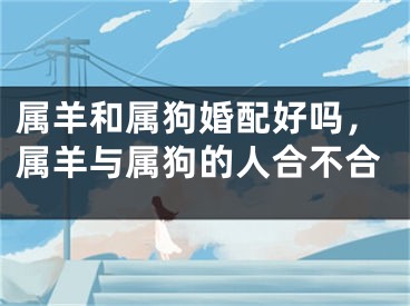 属羊和属狗婚配好吗,属羊与属狗的人合不合