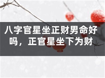 八字官星坐正财男命好吗，正官星坐下为财