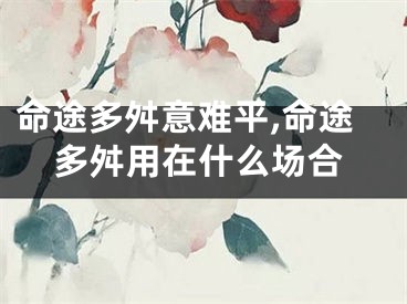 命途多舛意难平,命途多舛用在什么场合