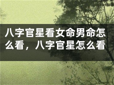 八字官星看女命男命怎么看，八字官星怎么看