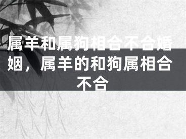 属羊和属狗相合不合婚姻，属羊的和狗属相合不合