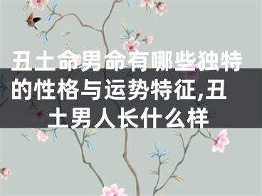 丑土命男命有哪些独特的性格与运势特征,丑土男人长什么样