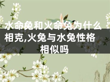 水命兔和火命兔为什么相克,火兔与水兔性格相似吗