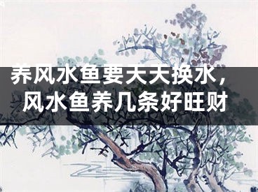 养风水鱼要天天换水，风水鱼养几条好旺财