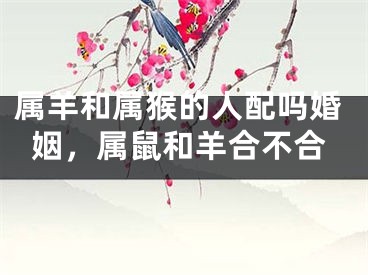 属羊和属猴的人配吗婚姻,属鼠和羊合不合