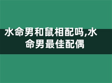 水命男和鼠相配吗,水命男最佳配偶