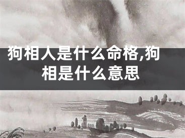 狗相人是什么命格,狗相是什么意思