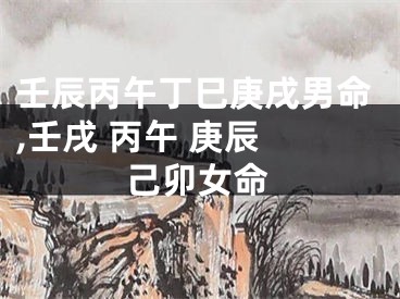 壬辰丙午丁巳庚戌男命,壬戌 丙午 庚辰 己卯女命