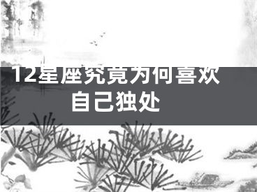 12星座究竟为何喜欢自己独处 