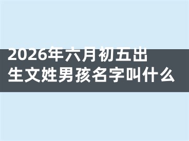 2026年六月初五出生文姓男孩名字叫什么