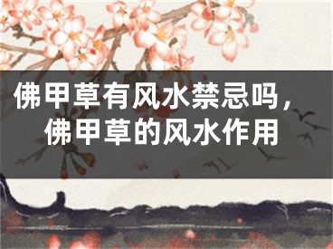 佛甲草有风水禁忌吗，佛甲草的风水作用