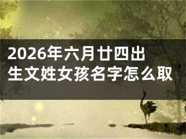 2026年六月廿四出生文姓女孩名字怎么取