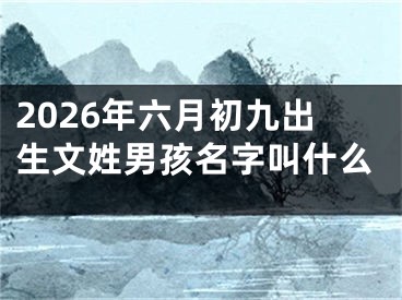 2026年六月初九出生文姓男孩名字叫什么