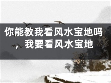 你能教我看风水宝地吗，我要看风水宝地