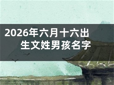 2026年六月十六出生文姓男孩名字